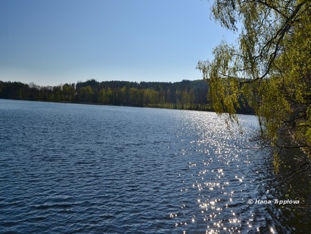 Ka�le�sk� rybn�k